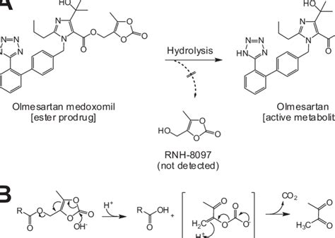 Olmesartan Medoxomil Mechanism